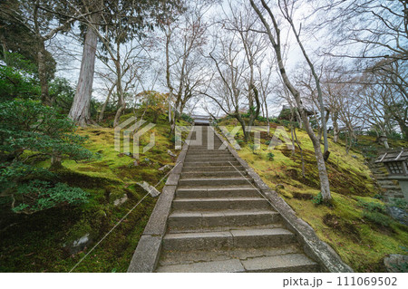 京都の寺の庭園 京都の寺の庭園 111069502