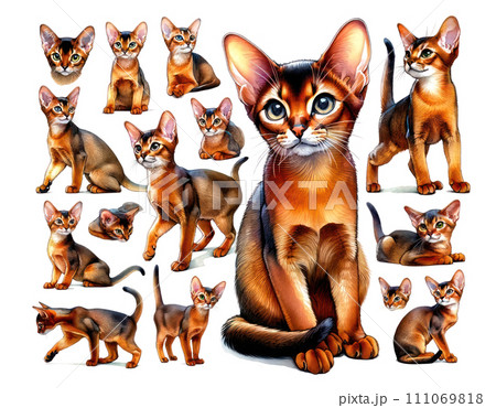 set of watercolor cute Abyssinian cat isolated on white background, generative ai 111069818
