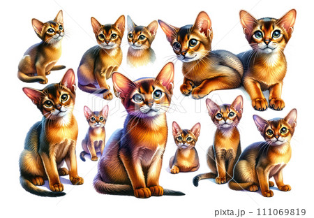 set of watercolor cute Abyssinian cat isolated on white background, generative ai 111069819
