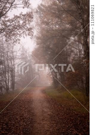Autumn Haze: The Mysterious Forest Road 111069821