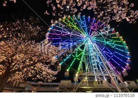 ライトアップされた観覧車　夜桜 111070110
