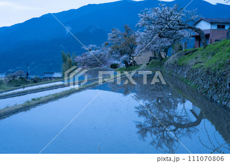 春の棚田のある風景 111070806