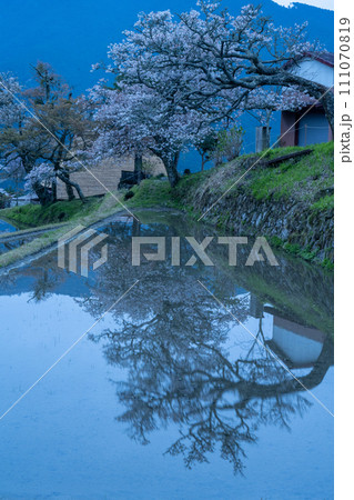 春の棚田のある風景 春の棚田のある風景 111070819