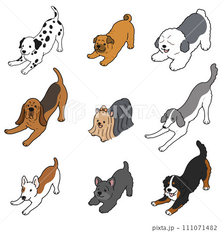 遊びに誘うシンプルで可愛い犬のイラストセット F 遊びに誘うシンプルで可愛い犬のイラストセット F 111071482