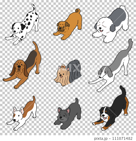 遊びに誘うシンプルで可愛い犬のイラストセット F 遊びに誘うシンプルで可愛い犬のイラストセット F 111071482