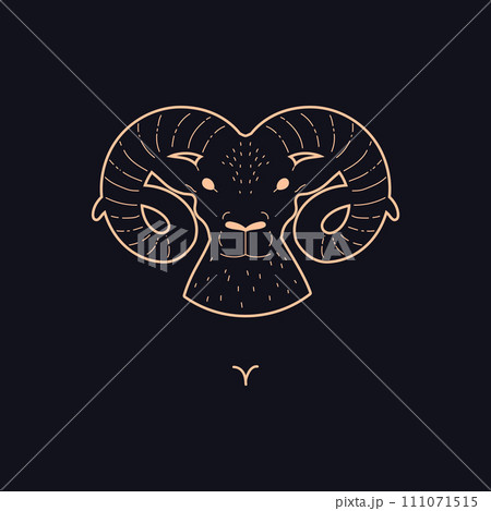 Aries zodiac symbol golden contour on dark background, Aries Horoscope vector sign, Astrological zodiac ram head 111071515