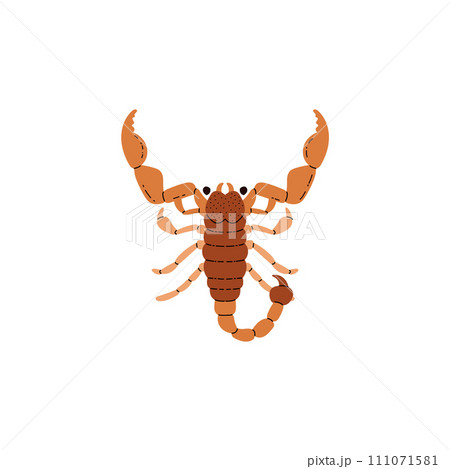 Scorpion deserted animal flat style, vector illustration 111071581