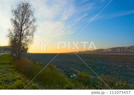 Spring arable land, plowed field prepared for planting cereals and vegetables Spring arable land, plowed field prepared for planting cereals and vegetables 111073457