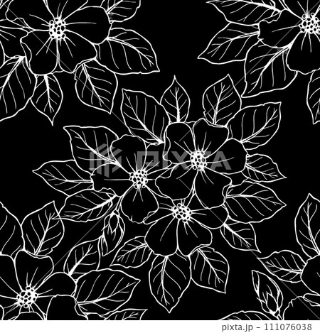 seamless contour pattern of large white flowers on a black background, texture, design 111076038