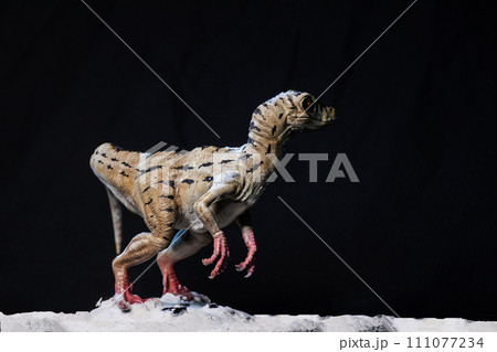 Velociraptor dinosaur in the dark Velociraptor dinosaur in the dark 111077234