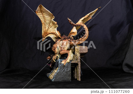 Fantasy dragon in the dark Fantasy dragon in the dark 111077260
