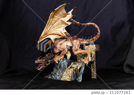 Fantasy  dragon in  the dark 111077261