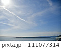 大河に浮かぶ島 111077314
