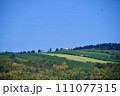 丘の上に立つ家 111077315