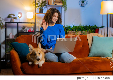 Happy woman opening laptop and working remotely sitting beside corgi dog on sofa at home room Happy woman opening laptop and working remotely sitting beside corgi dog on sofa at home room 111077360