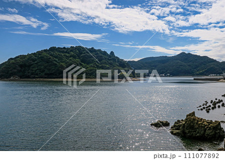 兵庫・赤穂市 晩夏の坂越・生島（生島樹林） 111077892
