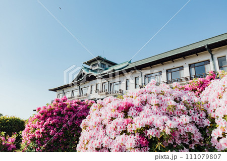 蒲郡クラシックホテル つつじ祭り 蒲郡クラシックホテル つつじ祭り 111079807