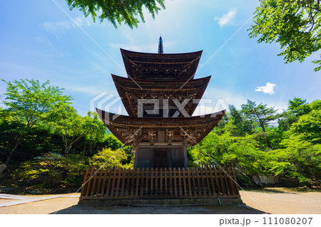 長野県上田市の初夏　新緑の前山寺　三重塔 111080207