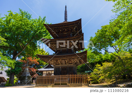 長野県上田市の初夏　新緑の前山寺　三重塔 111080216