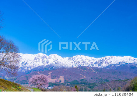 【春素材】信州・野平地区の一本桜【長野県】 111080404