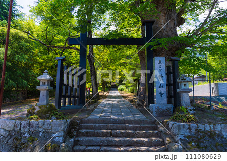 長野県上田市の初夏　新緑の前山寺　冠木門 111080629