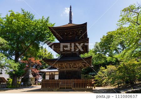 長野県上田市の初夏 新緑の前山寺 三重塔 長野県上田市の初夏 新緑の前山寺 三重塔 111080637