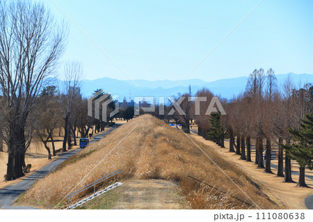 地元景観スポットからの眺め　冬景色　秩父山並　　 111080638