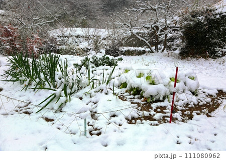 大和町梅野寒波襲来 111080962