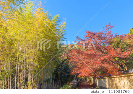 京都奥嵯峨野の紅葉風景 111081760