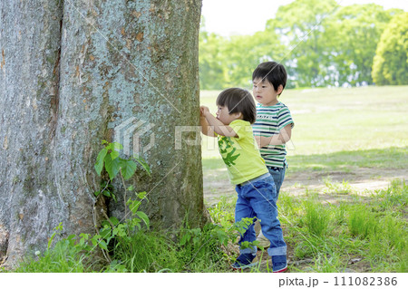 公園で木をのぞき込む男の子たち 111082386