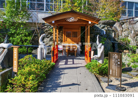 東京都・品川区　蛇窪神社　白蛇辨財天社　白蛇日本三大聖地 111083091