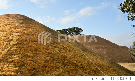 古墳(長崎県東彼杵町:ひさご塚) 古墳(長崎県東彼杵町:ひさご塚) 111083911