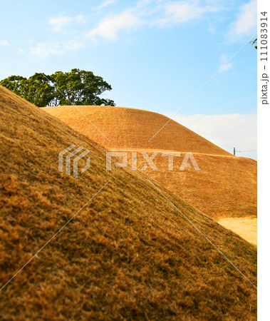 古墳(長崎県東彼杵町:ひさご塚) 古墳(長崎県東彼杵町:ひさご塚) 111083914