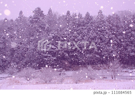 雪舞う 雪舞う 111084565