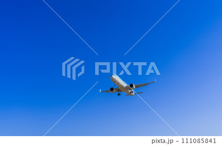 《飛行機》エアバス A320neo Family A321neo 《飛行機》エアバス A320neo Family A321neo 111085841