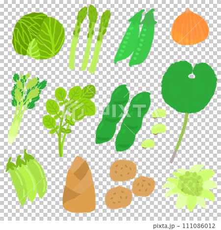 春天的蔬菜 111086012