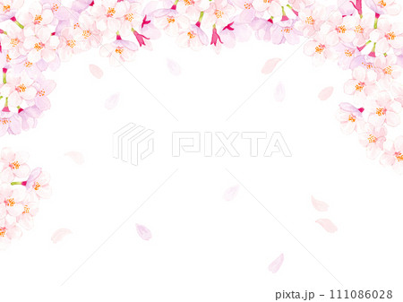 桜　水彩背景イラスト　 111086028
