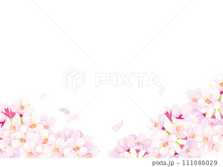 桜 水彩背景イラスト  桜 水彩背景イラスト  111086029