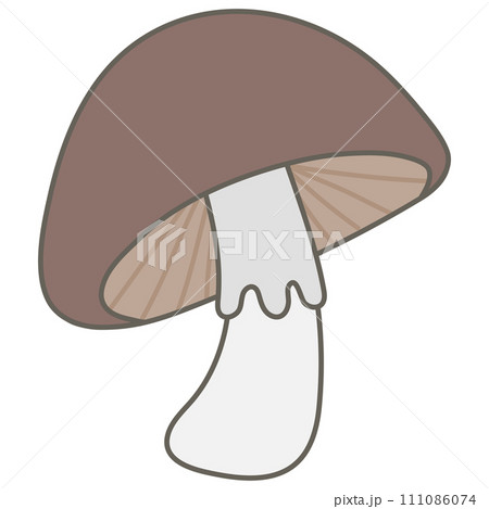sweet autumn close up big brown mushroom sweet autumn close up big brown mushroom 111086074