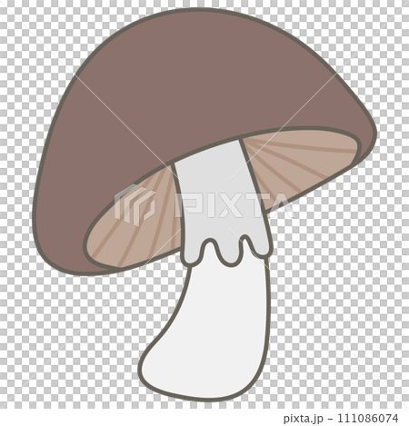 sweet autumn close up big brown mushroom sweet autumn close up big brown mushroom 111086074
