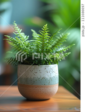 a pot that has a fern plant in it 111086697