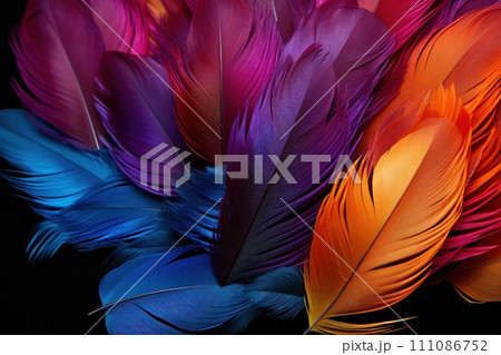 stunning composition with colorful feathers on a black background stunning composition with colorful feathers on a black background 111086752
