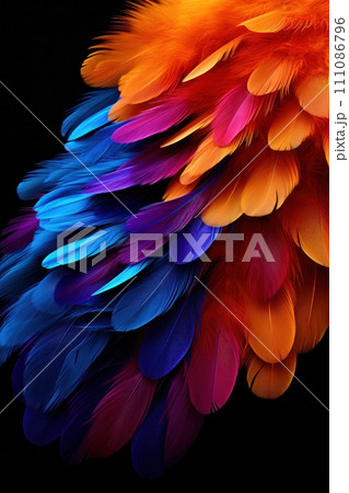 stunning composition with colorful feathers on a black background stunning composition with colorful feathers on a black background 111086796