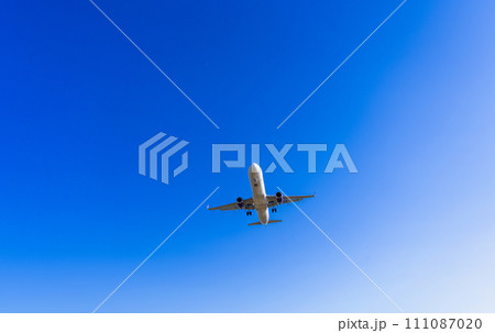 《飛行機》エアバス Airbus A320ceo Family A321 《飛行機》エアバス Airbus A320ceo Family A321 111087020