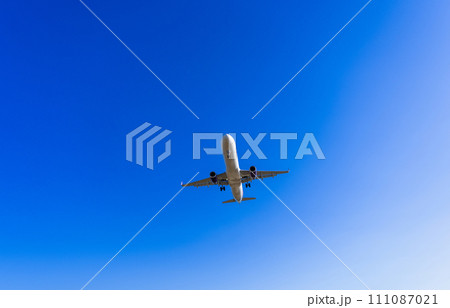 《飛行機》エアバス Airbus A320ceo Family A321 111087021