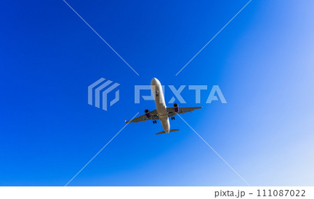 《飛行機》エアバス Airbus A320ceo Family A321 《飛行機》エアバス Airbus A320ceo Family A321 111087022