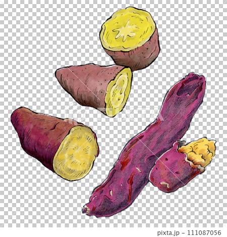 さつまいも素材集 手描きイラスト さつまいも素材集 手描きイラスト 111087056
