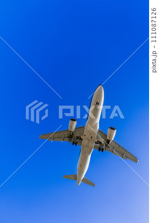 《飛行機》エアバス　Airbus A320ceo Family A320 111087126