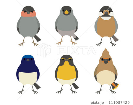 野鳥セット2 正面 全身のイラスト素材 [111087429] - PIXTA