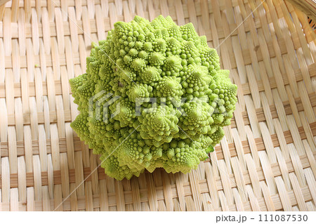 ロマネスコ収穫前 111087530